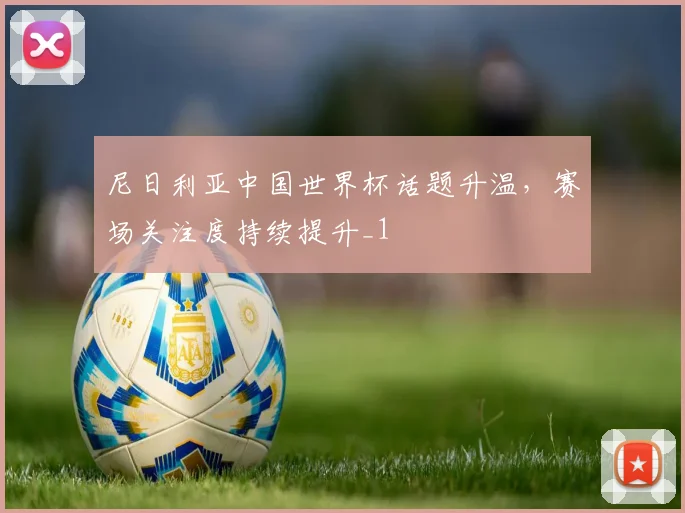 尼日利亚中国世界杯话题升温，赛场关注度持续提升_1