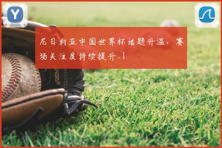 尼日利亚中国世界杯话题升温，赛场关注度持续提升_1