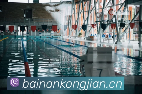 App Interface Preview